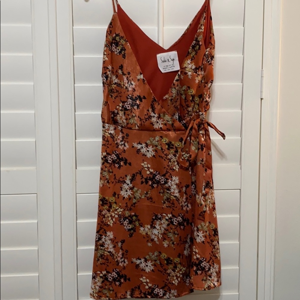 Sadie and Sage Dress